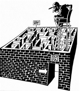 褐色鸟群,褐色鸟群的故事概括