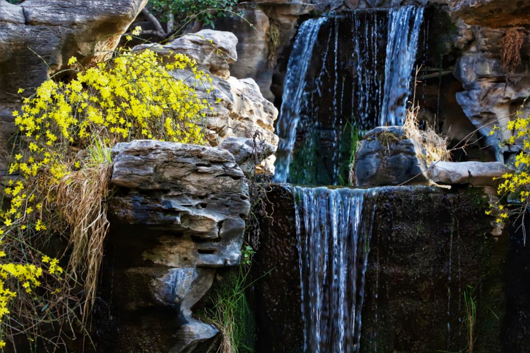 济南3月免费赏花攻略,花都开了济南周边赏花攻略收好