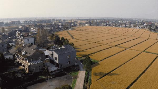 10个中产阶级,中国10个顶级家庭