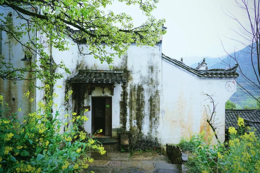 这才是中国最美的乡村,最值得去的鲜花小镇