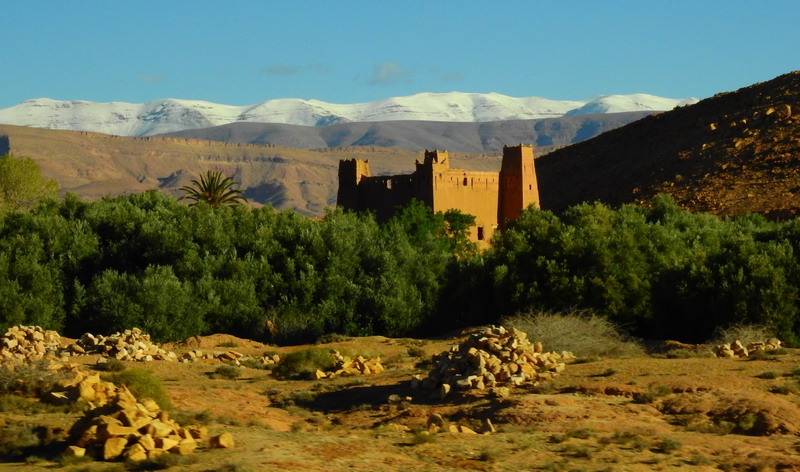 撒哈拉沙尘暴照片,撒哈拉沙漠沙尘暴实拍