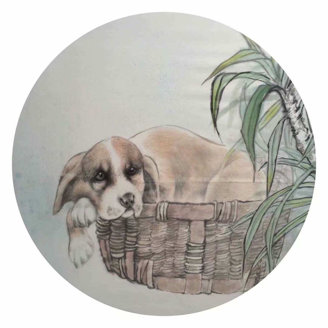 未来如何实现财富自由,普通人未来获取财富的方法