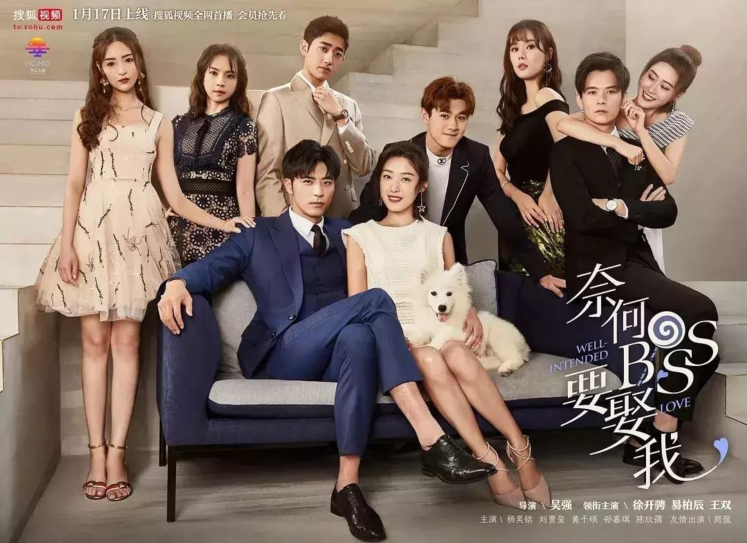 狗血到爆甜到齁，《奈何BOSS》为何如此挠人心肝？