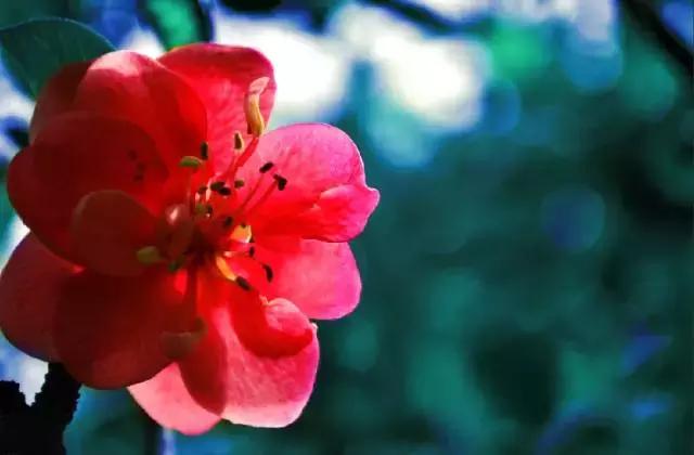 帮你快速入门单反摄影绝对经典,单反摄影入门选哪个牌子