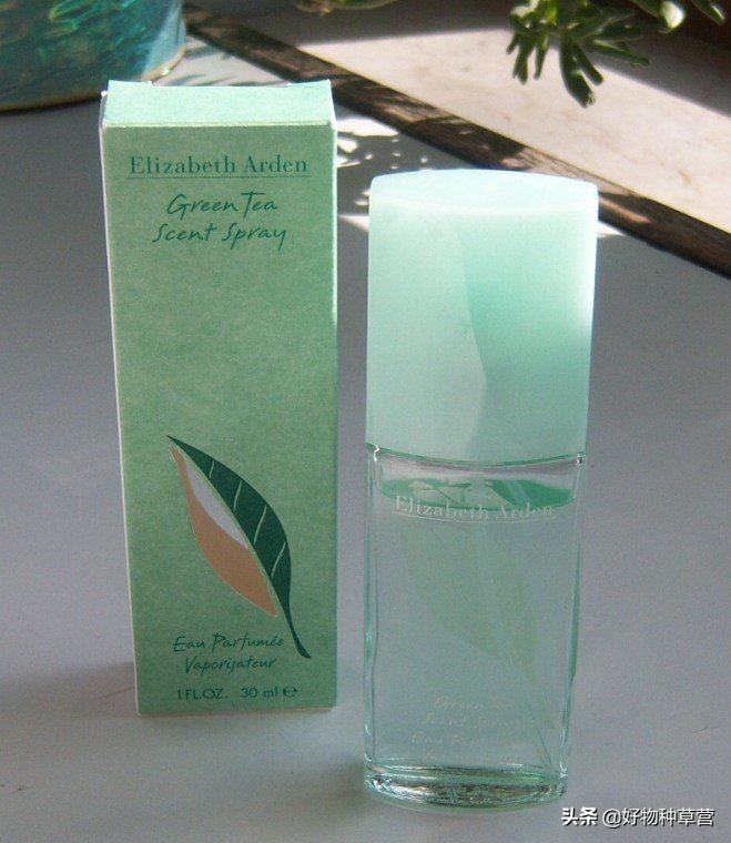 闻香识女人香水小样,女士香水选购攻略