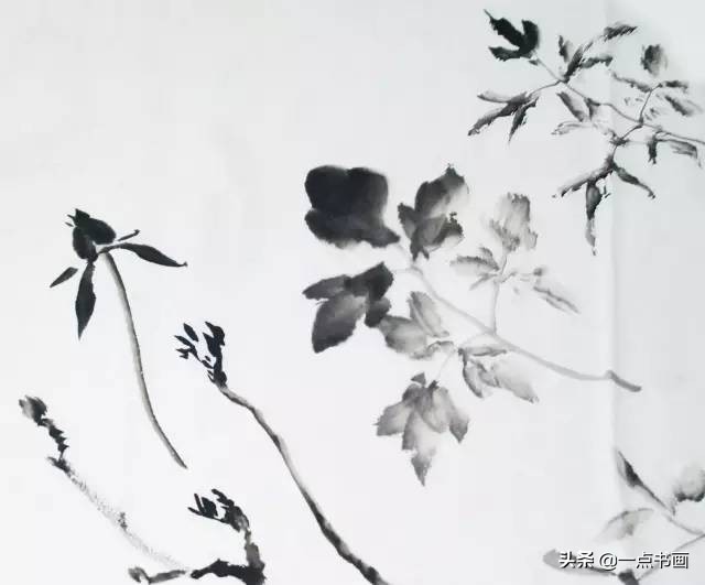 王绣写意牡丹画法步骤,王兮然写意牡丹画法视频大全