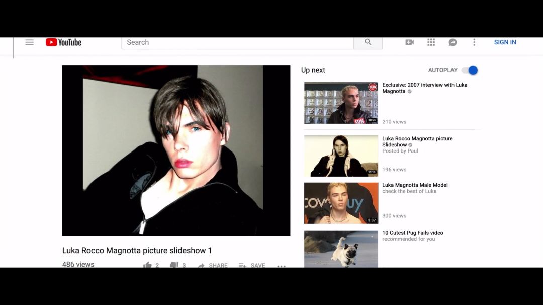 猫咪杀人案真实案例,猫咪被谋杀肢解抛尸案