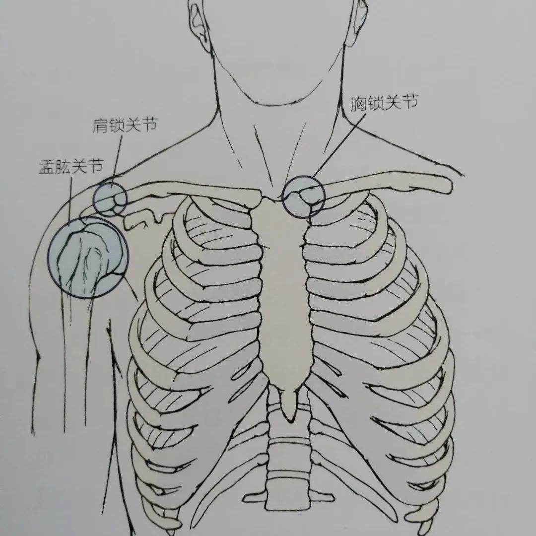 肩膀2次脱臼怎么彻底恢复,肩膀脱臼复位后如何快速恢复