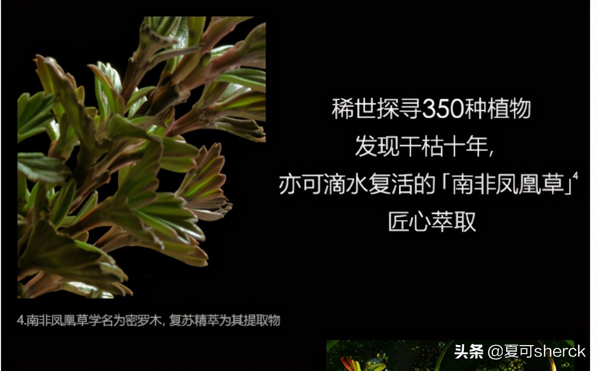 夏可叔叔扒过最抗老的面霜,夏可叔叔扒产品阿玛尼黑钥匙面霜