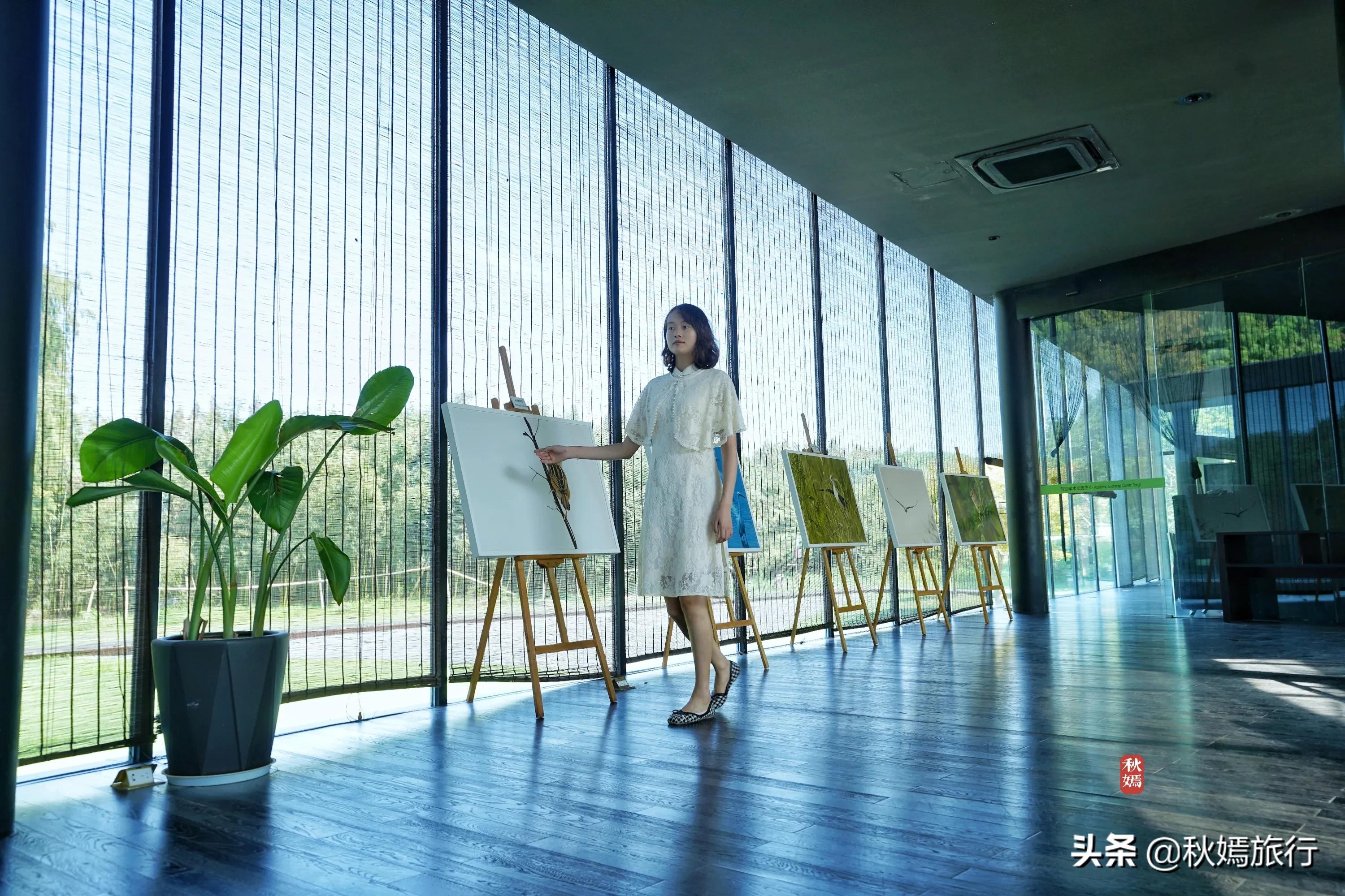 苏州吴中太湖新城苏州湾湿地公园,苏州湿地免费公园虎丘