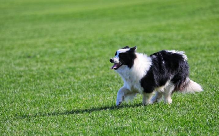 避暑亲子旅游推荐5天游,暑期草原亲子游攻略