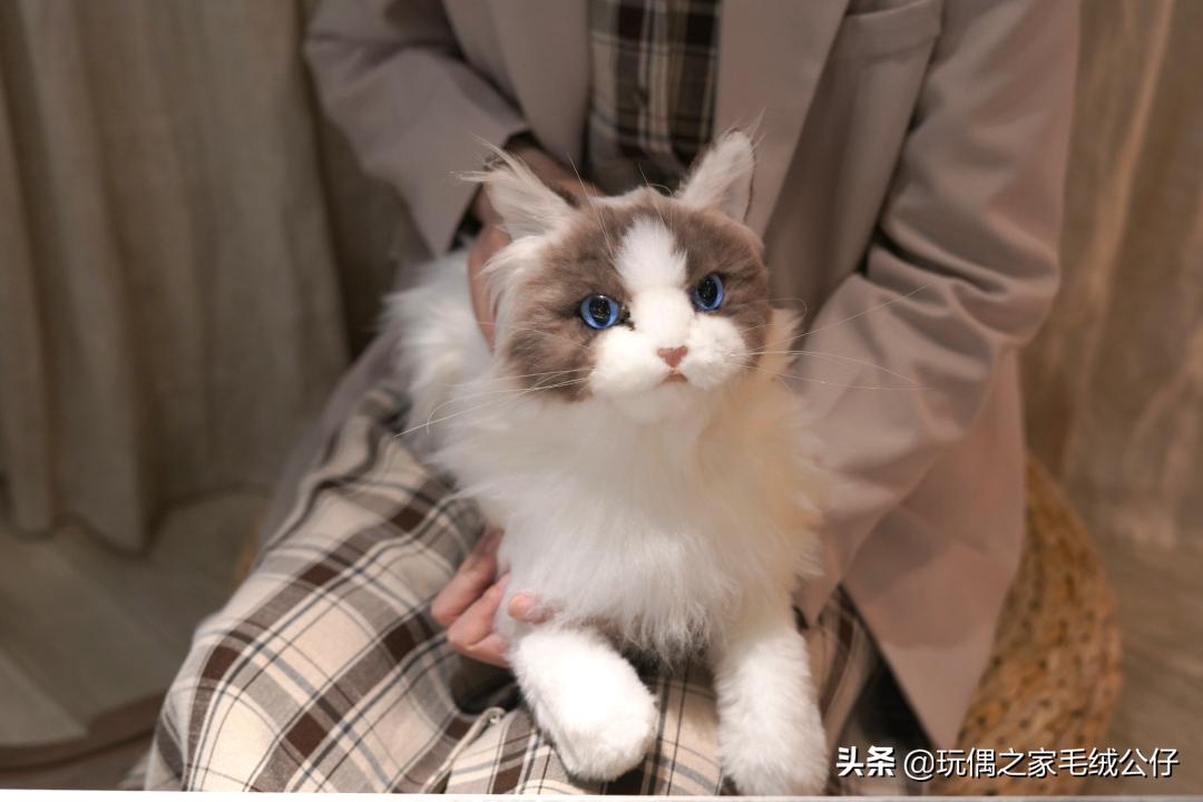 有事做有人爱有所期待深度好文,有事做有人爱有期待视频