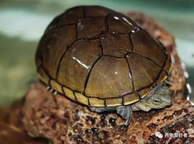 城镇化过程中应注意什么,城镇化的一般过程