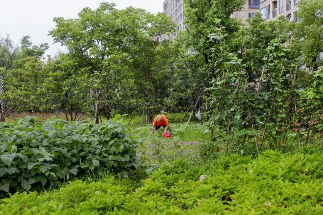 杭州地铁绿城杨柳郡电话,杭州拱墅区绿城运河地铁
