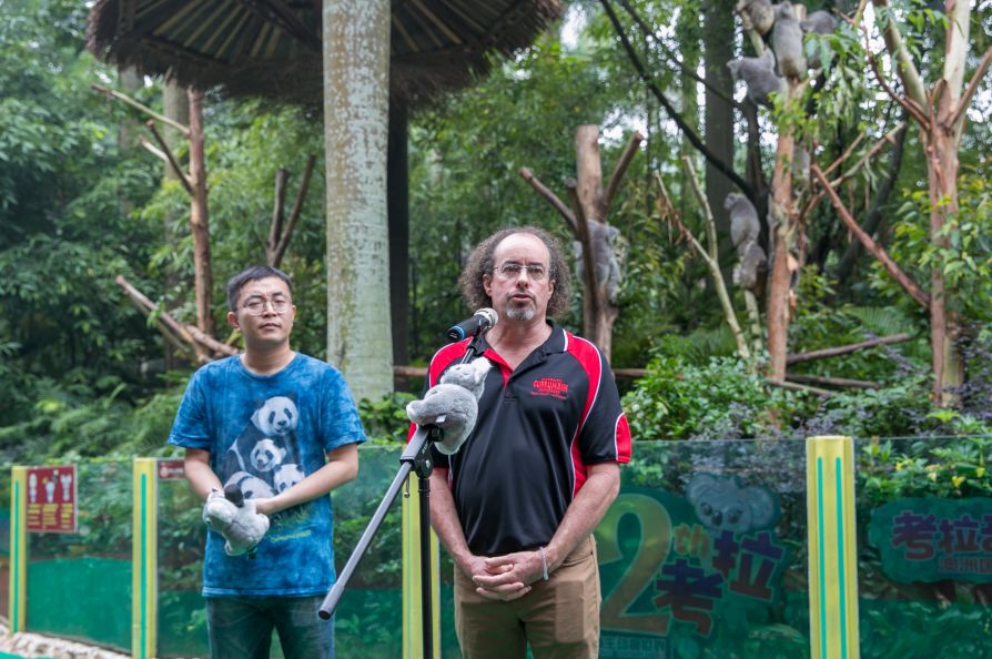 热卖爆款直降1000+，BAT大佬都在抢！双十一最好买的亲子产品是？