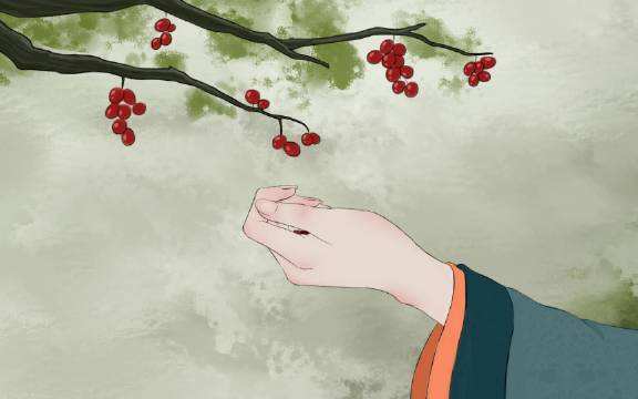 红豆中蕴藏诗意,红豆中的相思