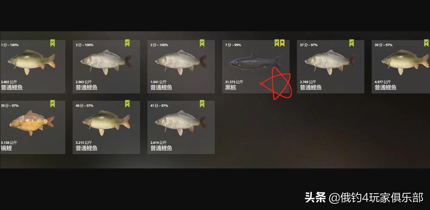 俄罗斯钓鱼4丨18图，碰瓷31K大黑鲩+31K无磷鲤