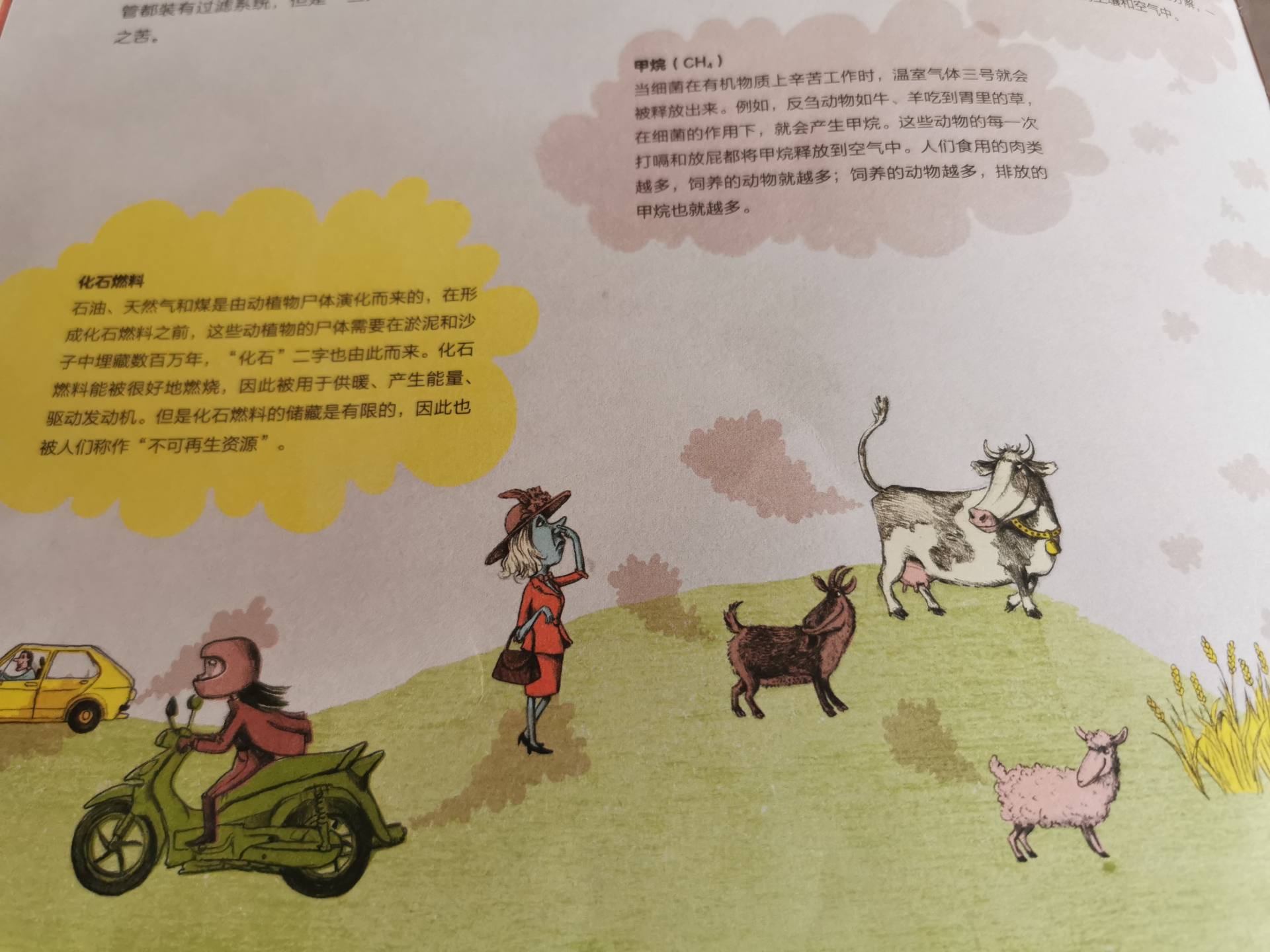 垃圾处理儿童科普,垃圾科普小课堂