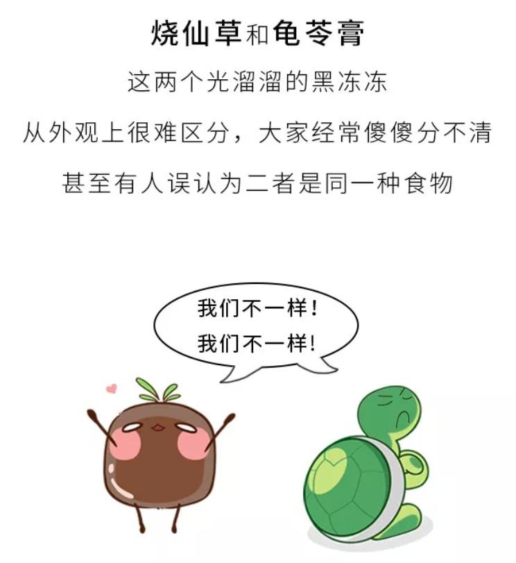 龟苓膏和烧仙草有什么区别吗,烧仙草跟龟苓膏的区别