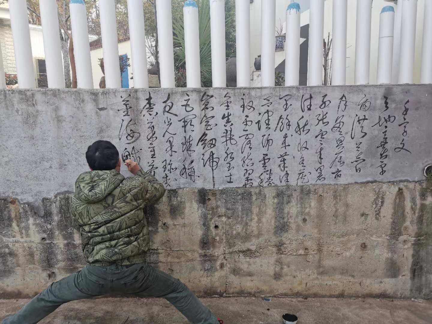 疫情樱花,樱花盛开疫情结束了