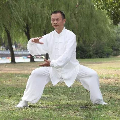 太极八步五法教程,太极八步拳教学