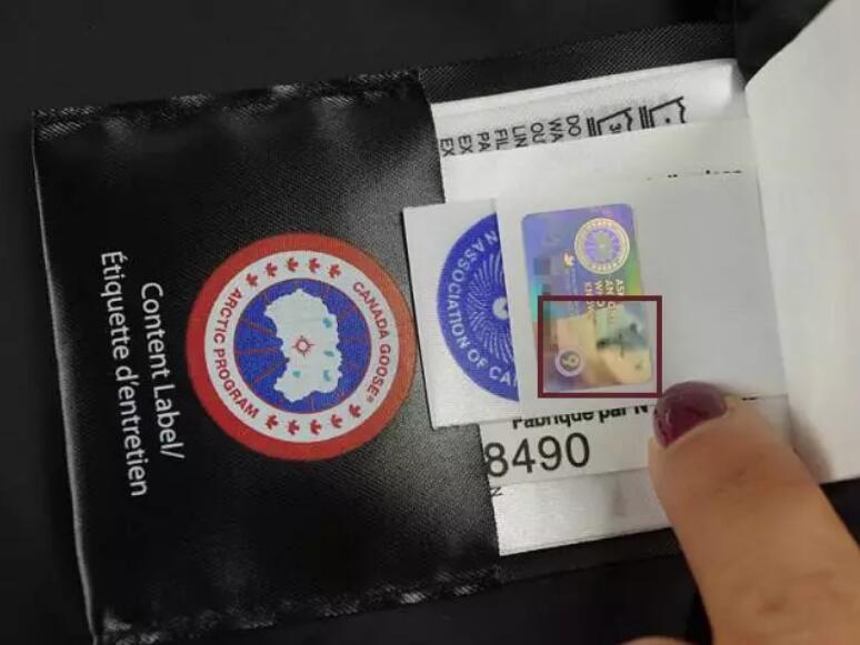 上万元的羽绒服,上万元一只的柯尔鸭凭啥这么贵