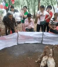 搞笑偷井盖的贼,偷井盖的搞笑图片