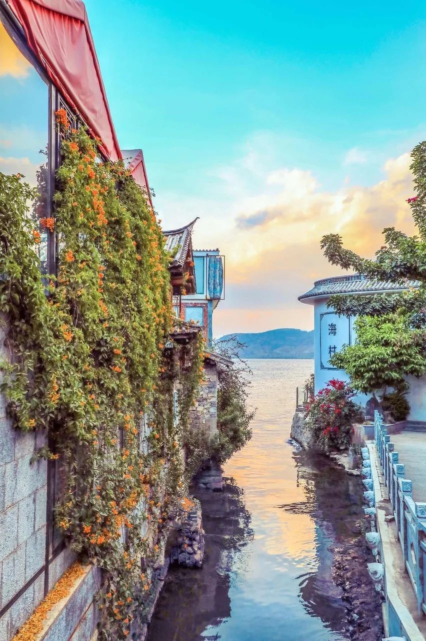 12月想要什么,12月的冬日暖阳岁月如此静好