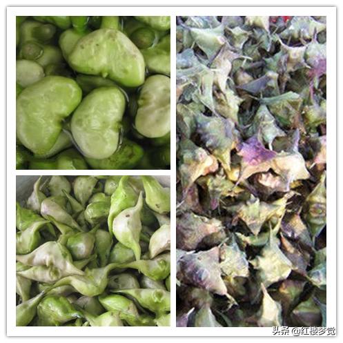 红楼梦描写的是南方吗,红楼梦中最能体现香菱的片段