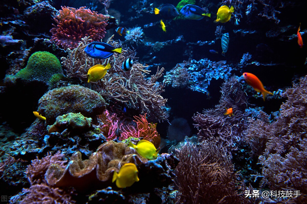 怎么解决福岛核污水,福岛县核污水最好处理方案