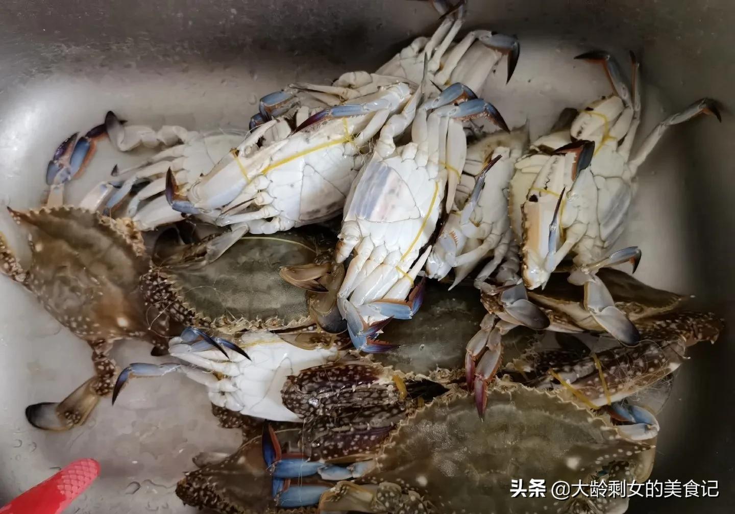 挑梭子蟹技巧干货,教你一招挑肥梭子蟹