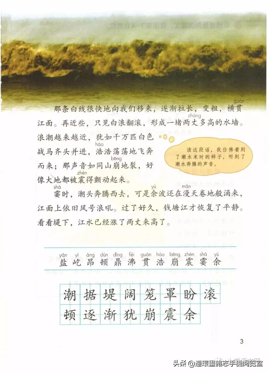 广西小学四年级上册语文课本,四年级的语文上册课本全部