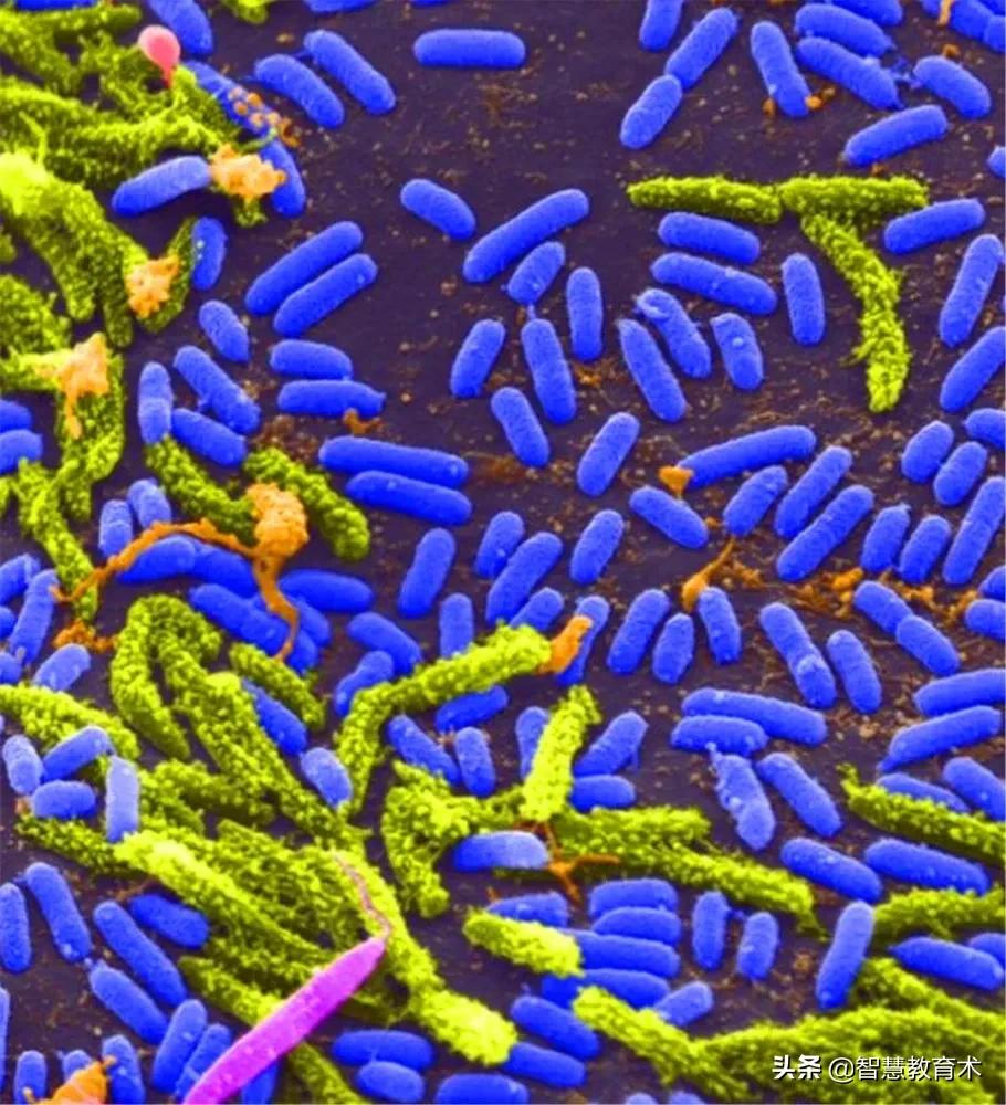 意大利确诊超20万例,意大利确诊破万