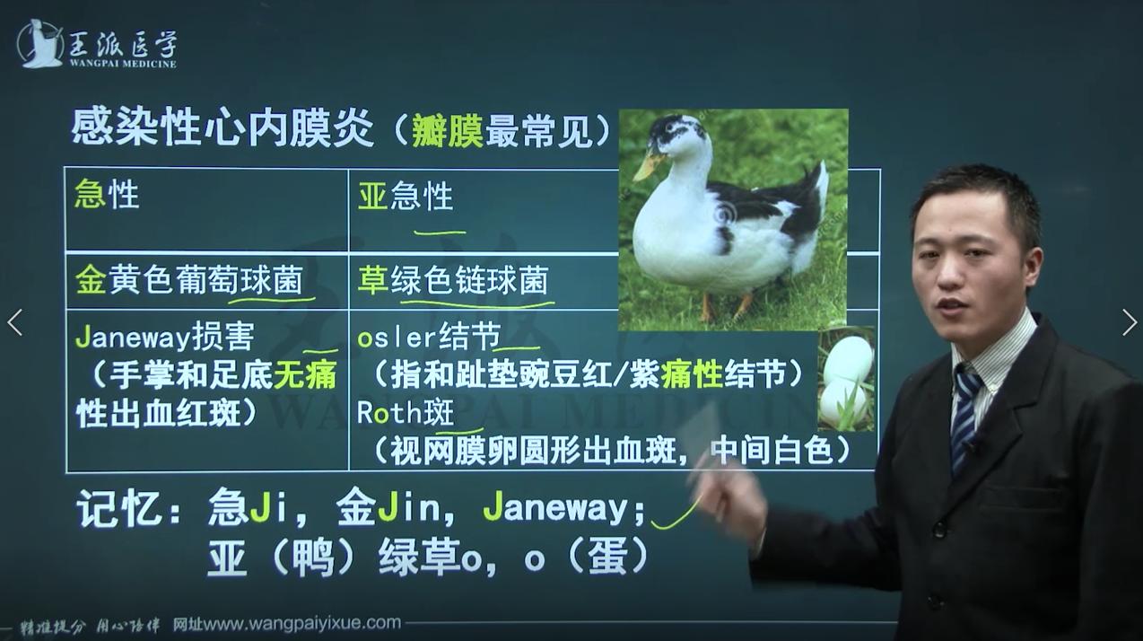 感染性心内膜炎健康指导,感染性心内膜炎护考考点