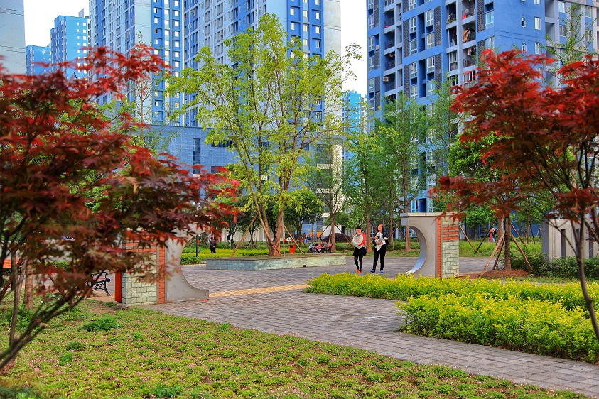 重庆公租房各个区域摇号几率,百里挑一巫溪