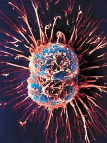 癌症免疫疗法新模式,治疗癌症的免疫疗法的副作用