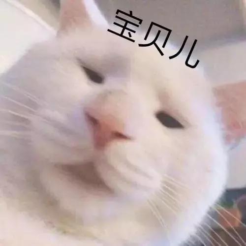 广州南沙区房价最新价格,广州黄埔区房价最新行情