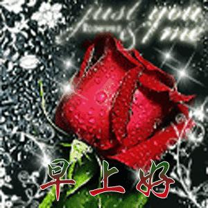 早晨问安:生命中,有风,有雨,但别忘也会有阳光,早晨好!