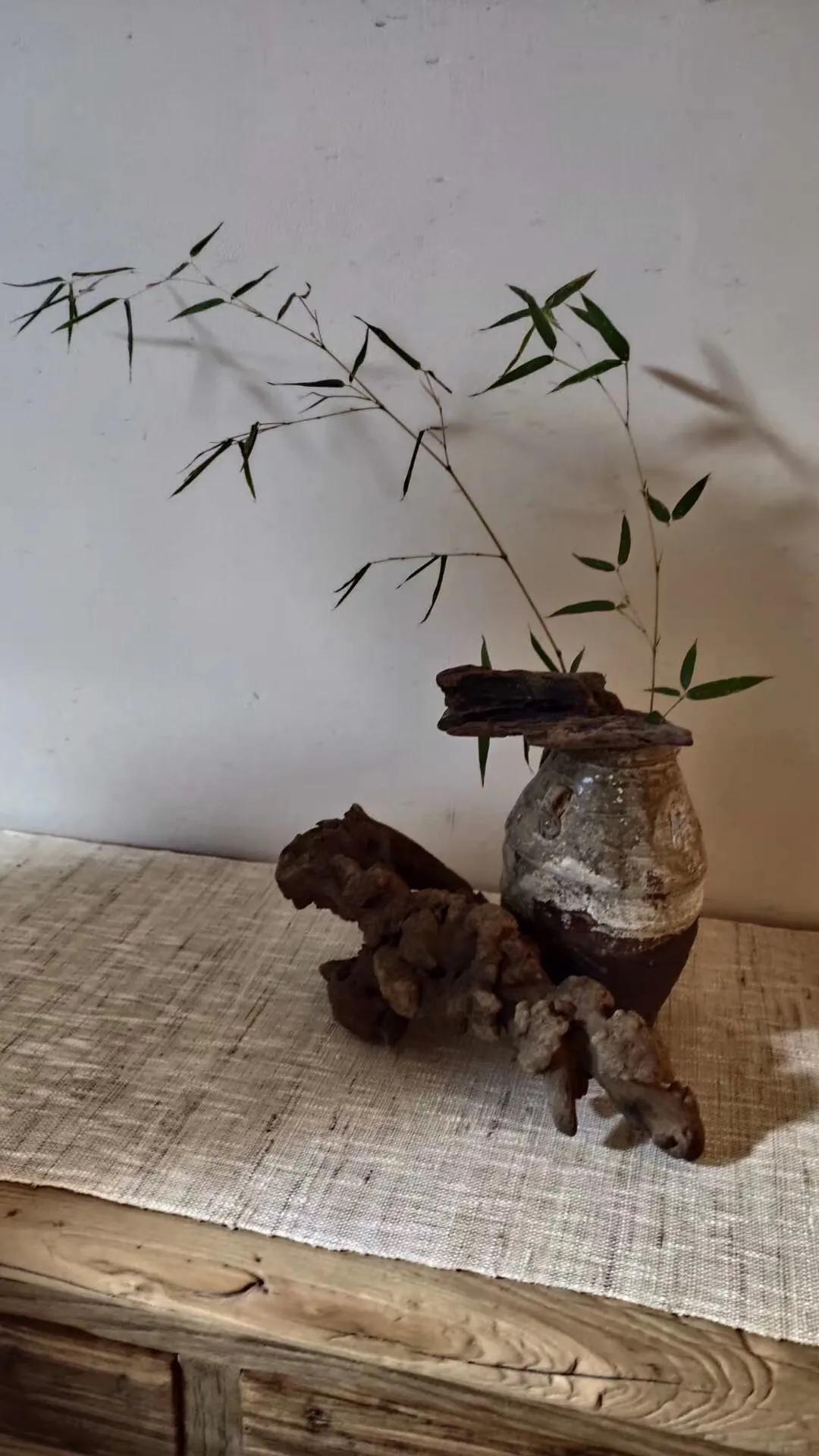 美即是正义是什么梗,美即是医用面膜吗