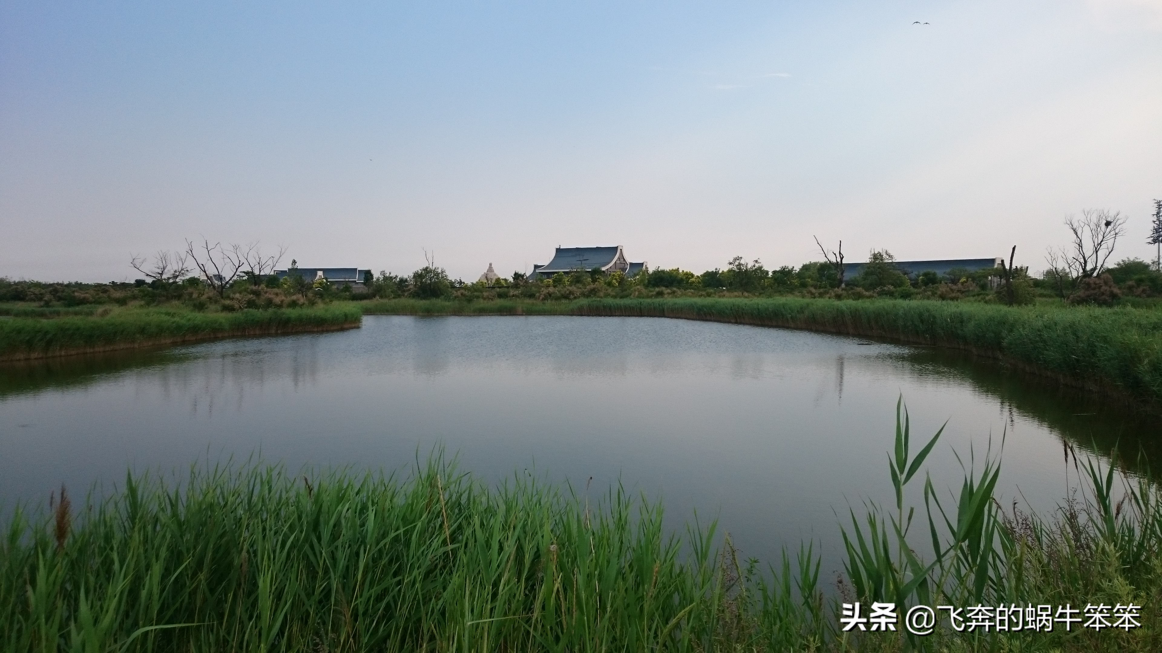 乐亭月岛赶海攻略,赶海看日出