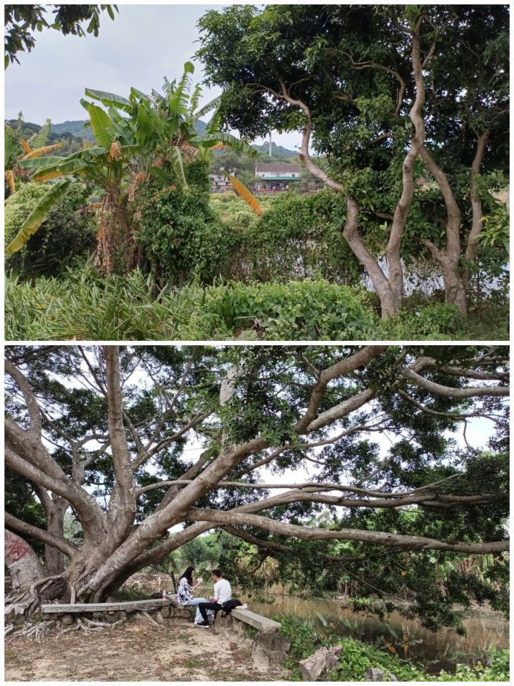 马峦山吃鸡攻略,马峦团建好去处