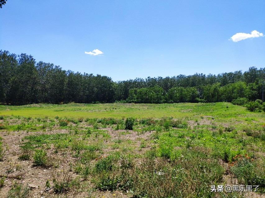 北京石渠公园在哪里,北京石渠公园