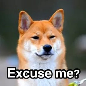 日常常用的美妆类产品,日常好用的美妆