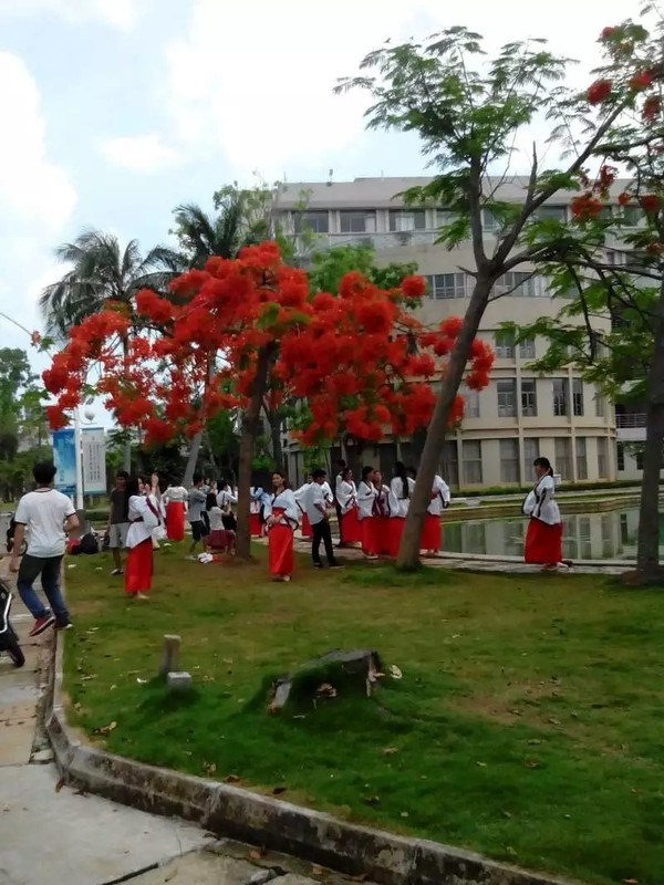 一个人在海边玩一天,一个人在海边怎么玩