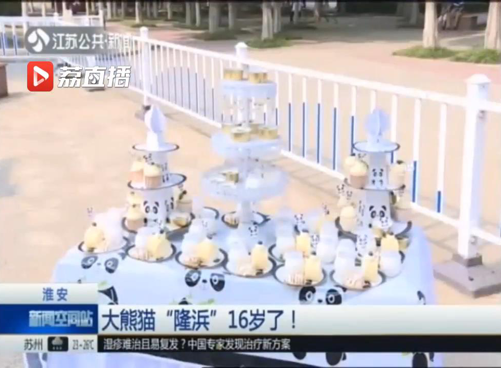 大熊猫生日快乐,淮安动物园大熊猫名字
