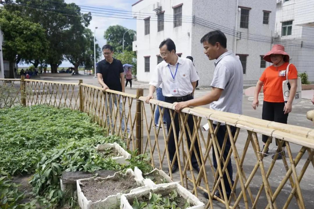 听民声解民意聚民心,人大代表春节前走访慰问困难群众