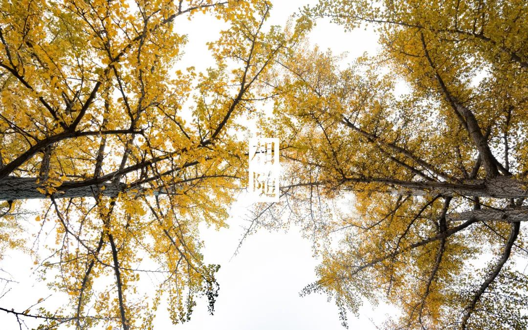 旅游三亚和厦门哪个更值得去,三亚和厦门哪一个更值得去旅游