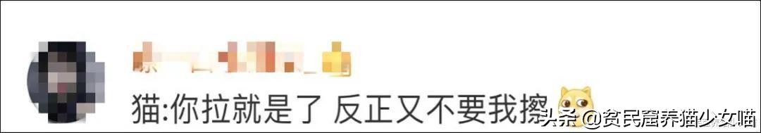 鸟的报复,鸟的报复心有多强