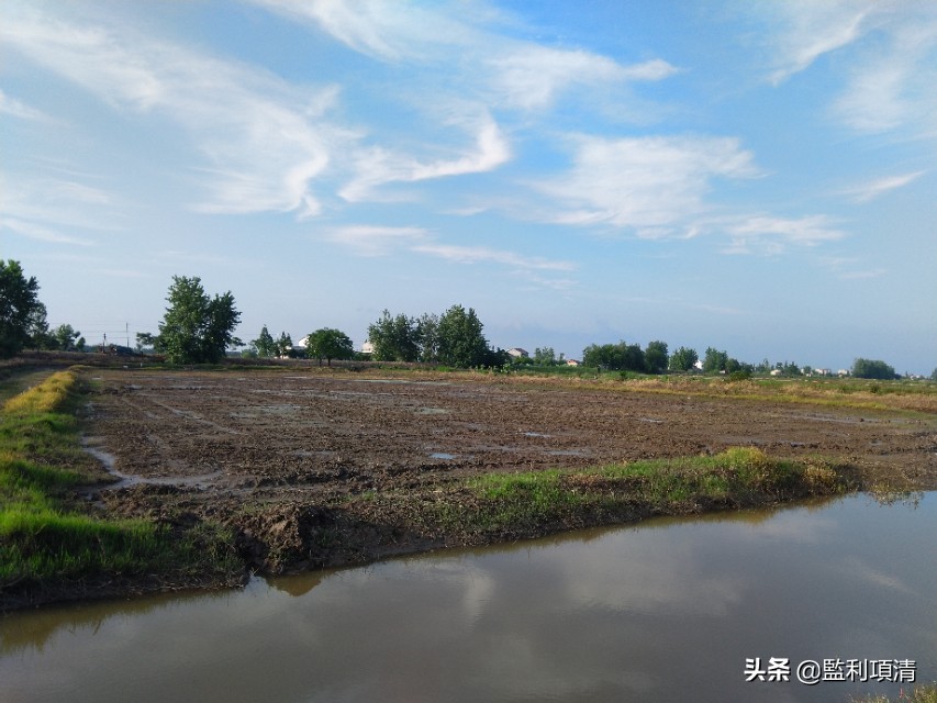 稻田养小龙虾能繁殖吗,一个县百万亩稻田养小龙虾