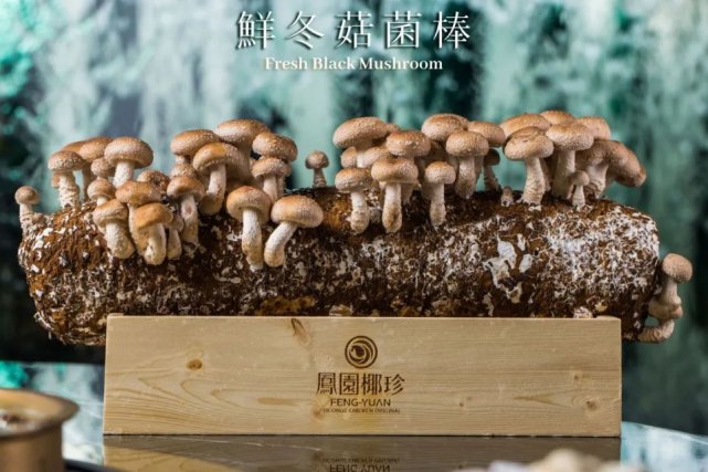 凤园椰珍椰子鸡团购长隆,凤园椰珍椰子鸡抖音团购